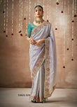 Ethereal Silver Tissue Dola Silk Saree