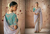 Ethereal Silver Tissue Dola Silk Saree