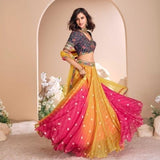 Pink and Imbre Embroidered Lehenga